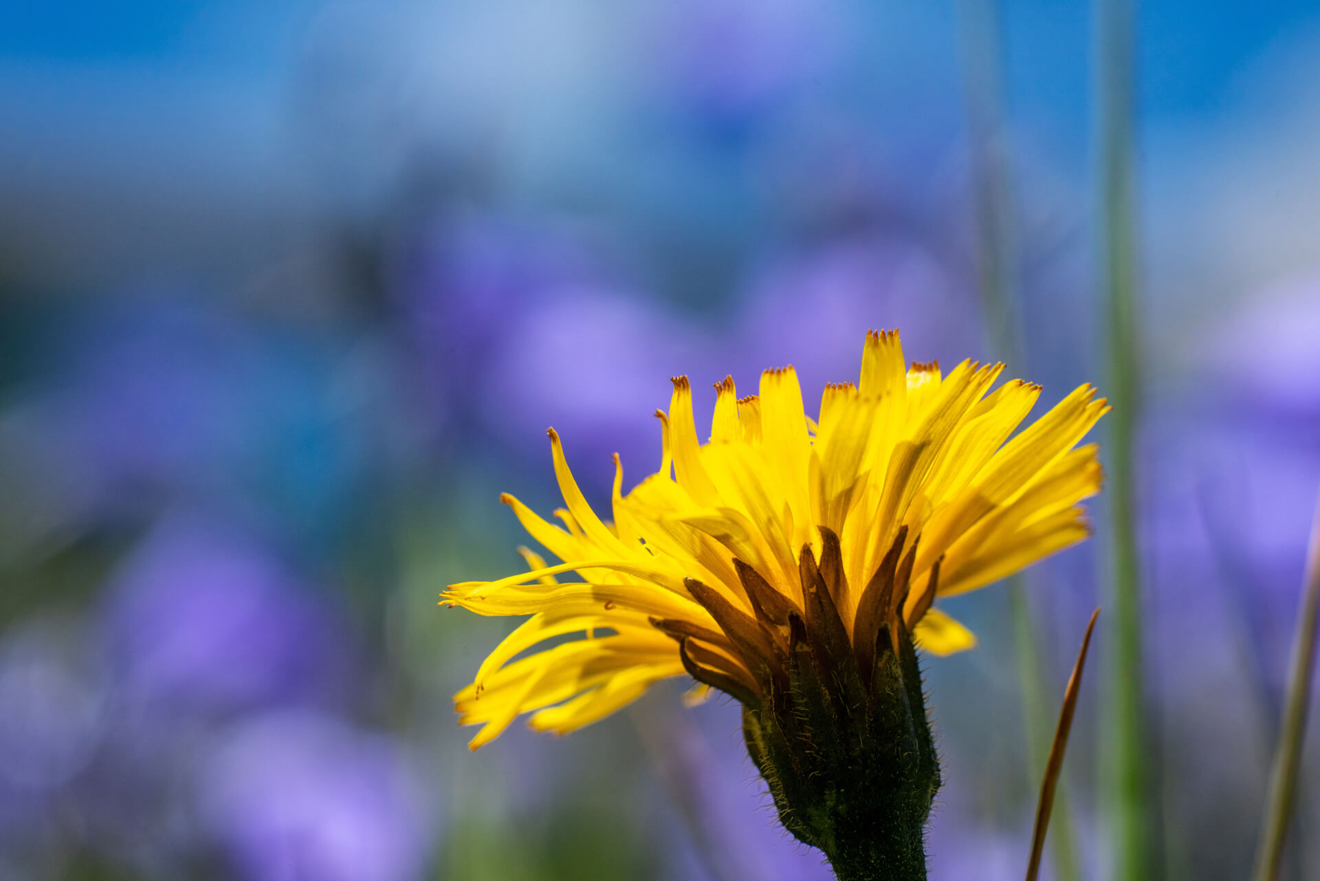 20190716-DSC03880.jpg 20190716-DSC03880.jpg