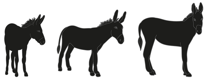 made in nature donks_edit.png